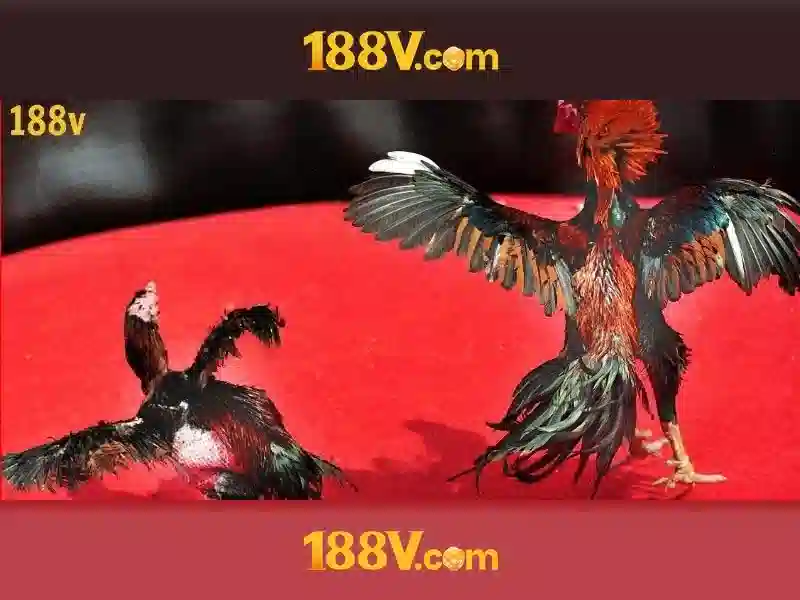 Nguồn gốc và Sứ mệnh của 188v 188vv com vn\n<h2><b>Sản phẩm và Dịch vụ chính: Ứng dụng thực tế của 188v 188vv com vn</b></h2>\n<li style=