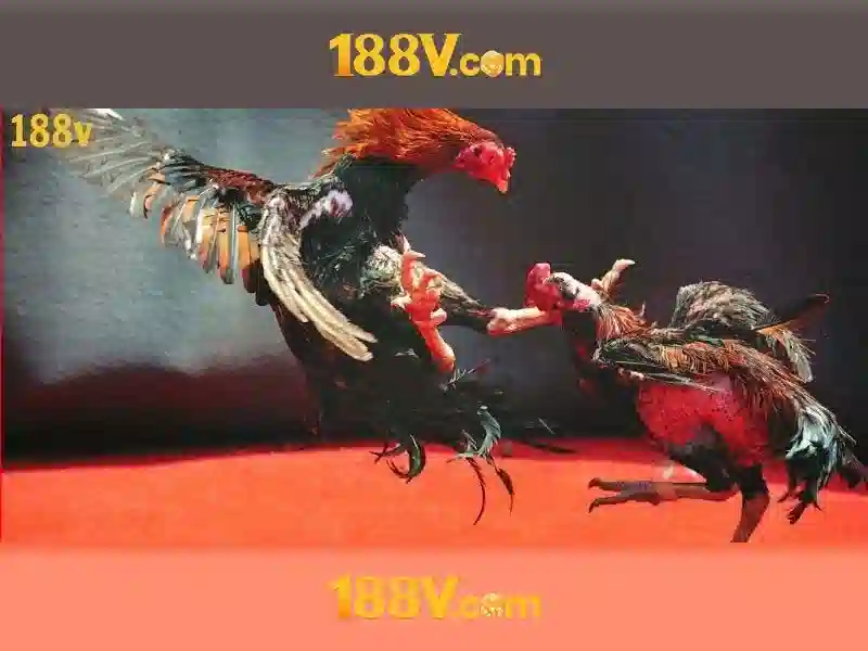 188v uy tín không – Tổng quan chủ đề và giá trị cốt lõi