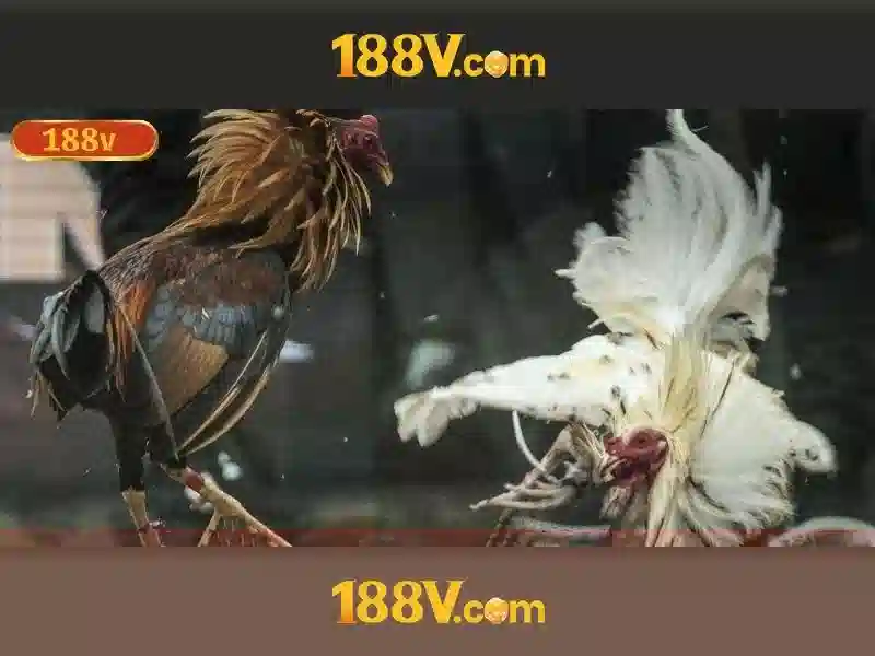 188v link – Từ nguồn gốc tới trải nghiệm và tải app