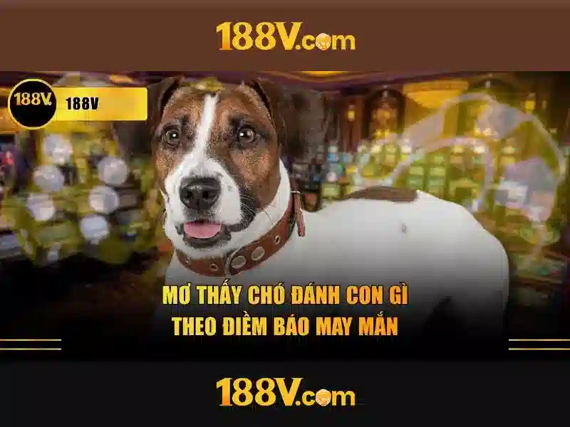 188v: Nền tảng nghệ thuật và công nghệ giao thoa