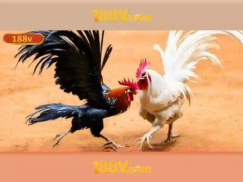 Cá cược thể thao 188v – định vị thương hiệu và trải nghiệm