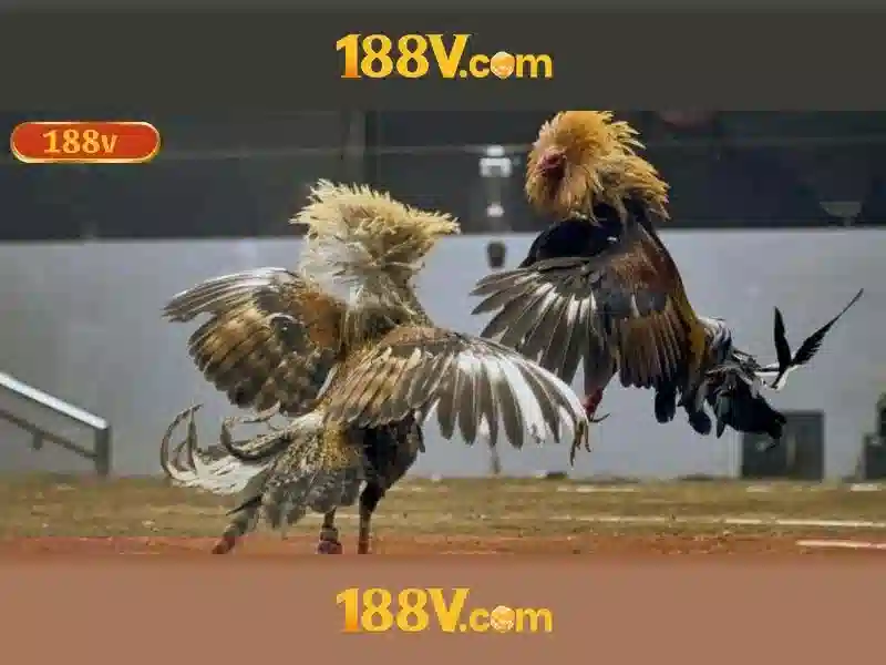 188V: Khái niệm và ứng dụng của điện áp 188V