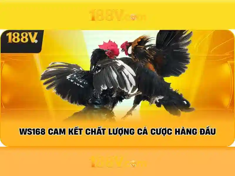 Giới thiệu về 188V<li style=