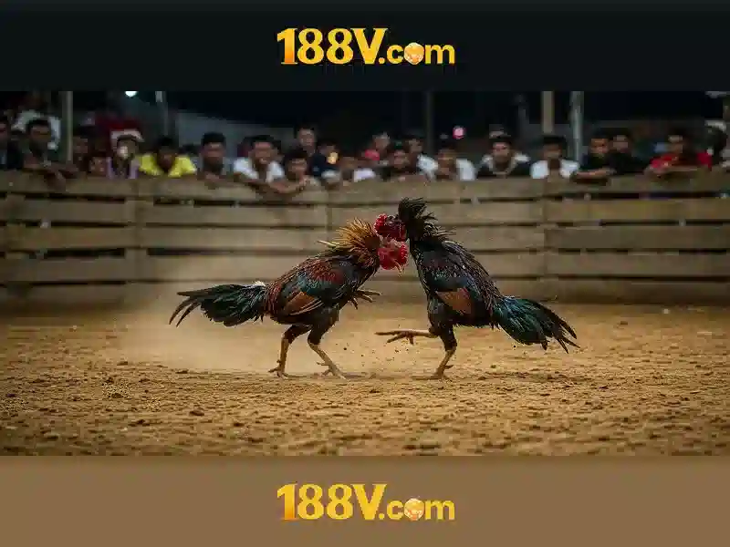 Trải nghiệm người dùng và phản hồi cộng đồng