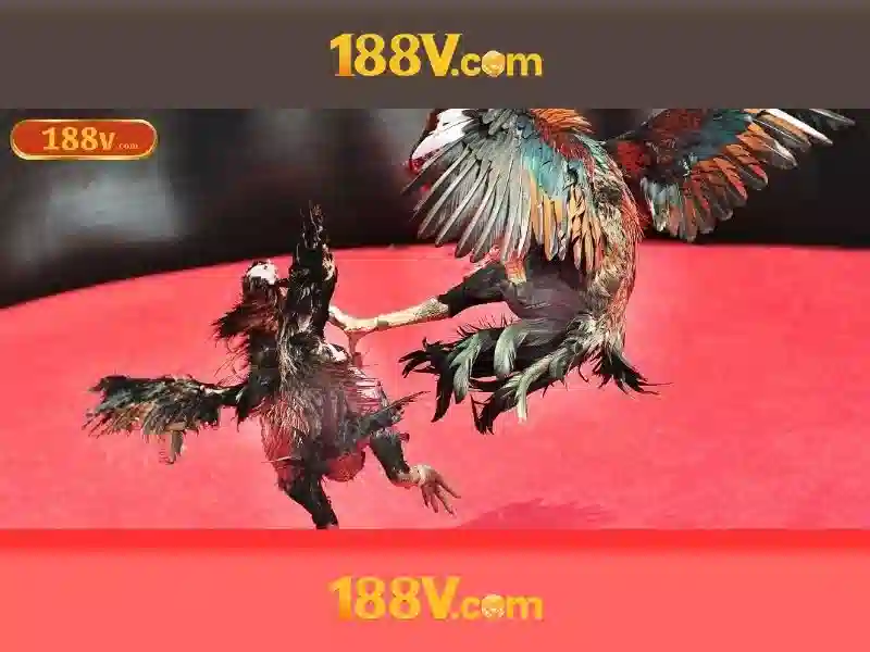 Tổng quan chủ đề và giá trị cốt lõi