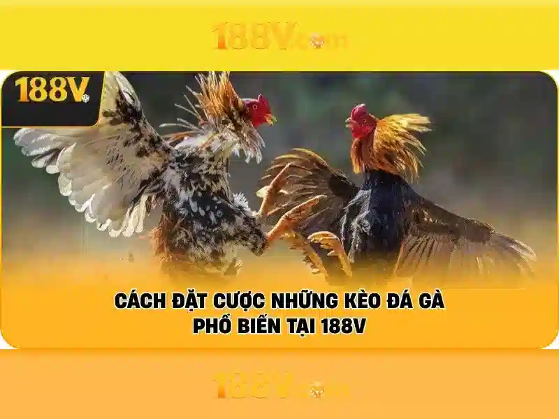 Ung dung thuc te cua 188v ios