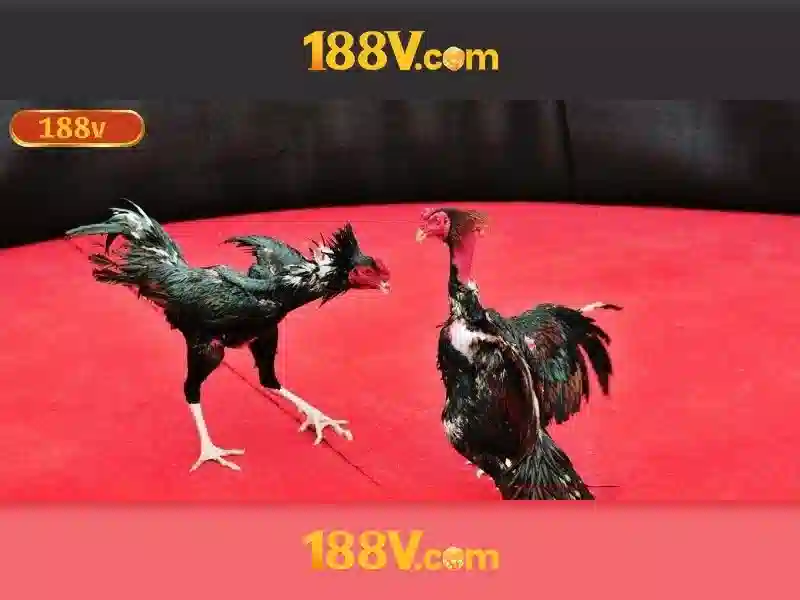 đăng ký 188v - Hướng dẫn chi tiết và trải nghiệm đăng ký 188v