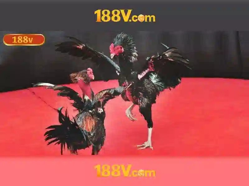 Nguồn gốc và động lực phát triển 188v