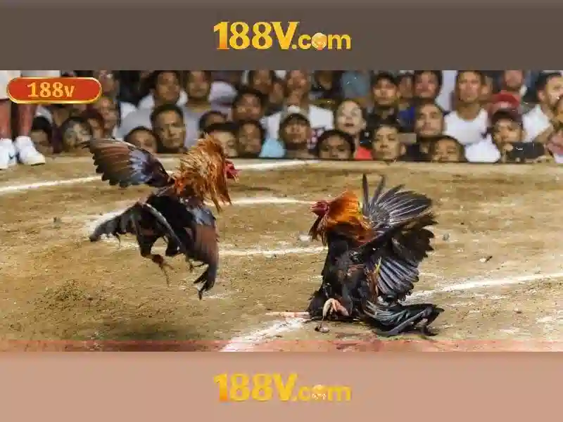 188v c – Trải nghiệm và hành trình 188v chính thức