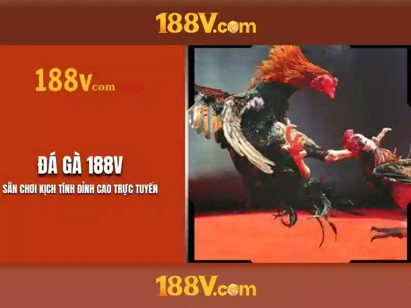 Thách thức và tiềm năng
