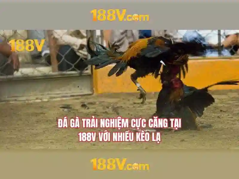 Hiện tượng và ứng dụng