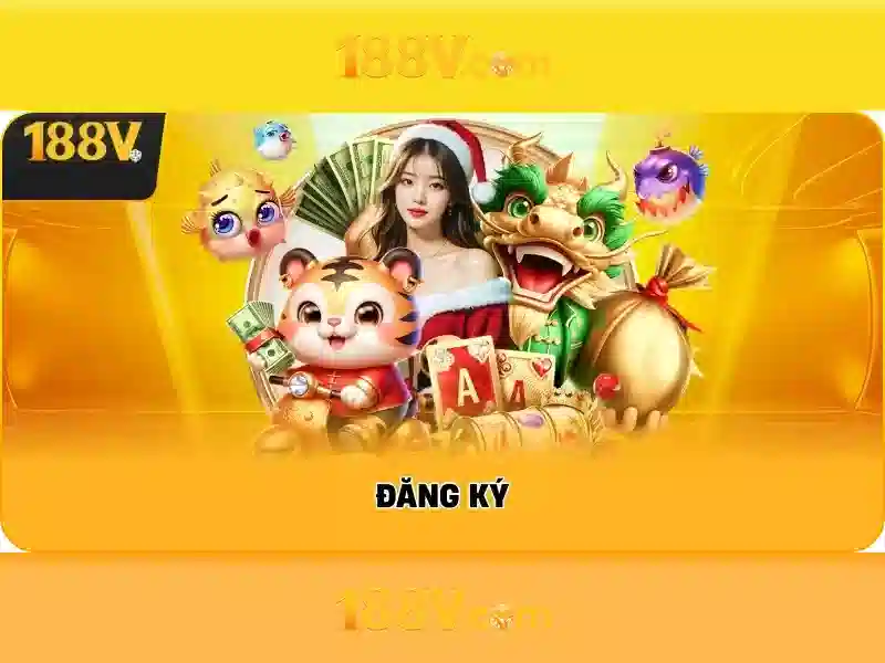 Trải nghiệm người dùng và phản hồi cộng đồng