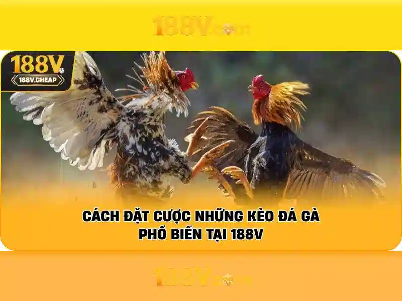 188v: hành trình của một con số giữa khoa học và nghệ thuật