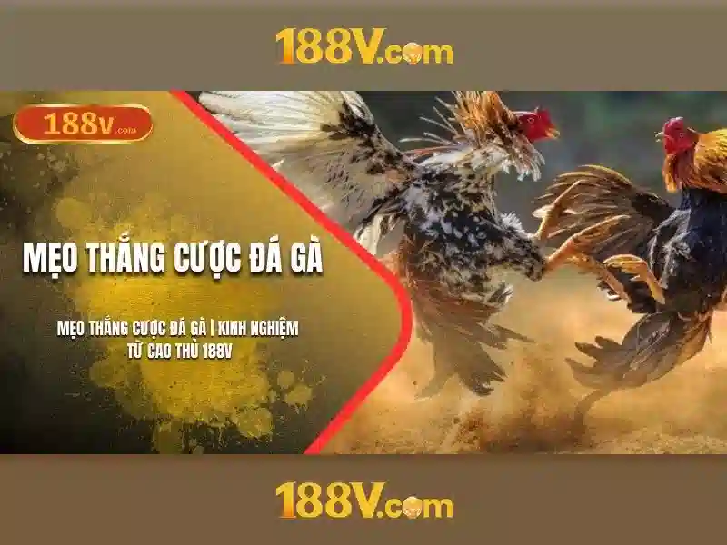 Khám phá 188v: một con số, một câu chuyện