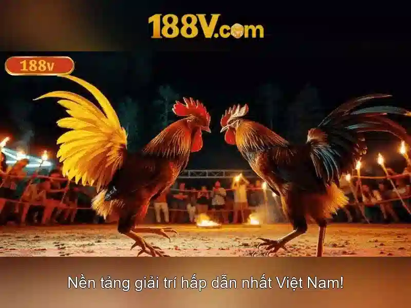 188v - Một hành trình của dữ liệu và hình ảnh