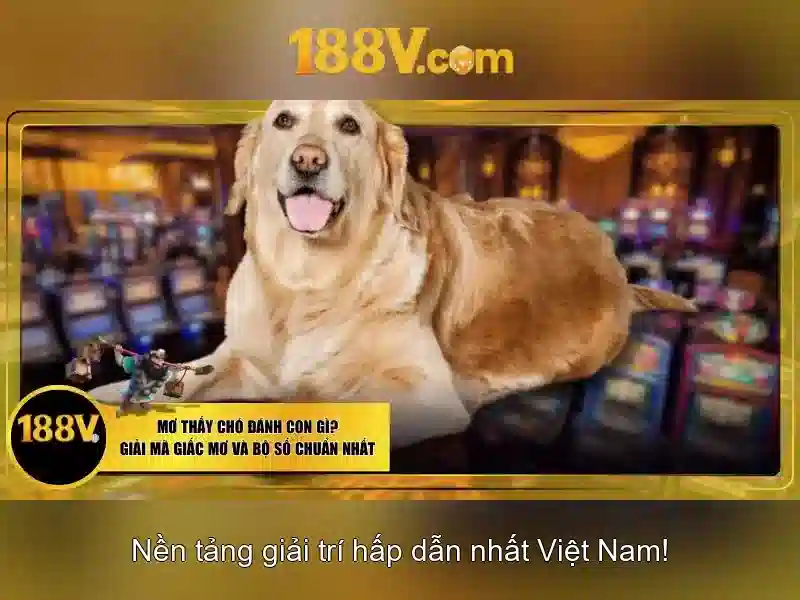 Tương lai và thách thức