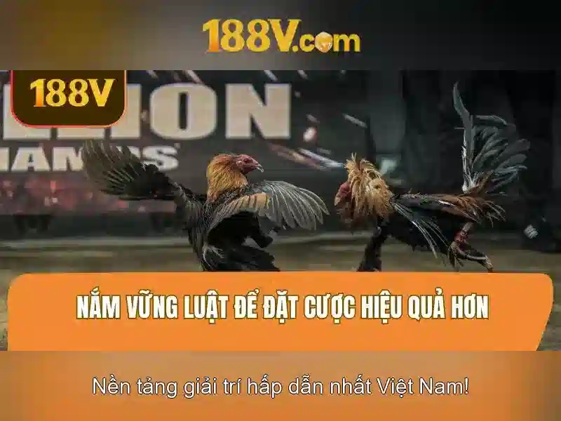 Khám phá 188v: một khái niệm thú vị