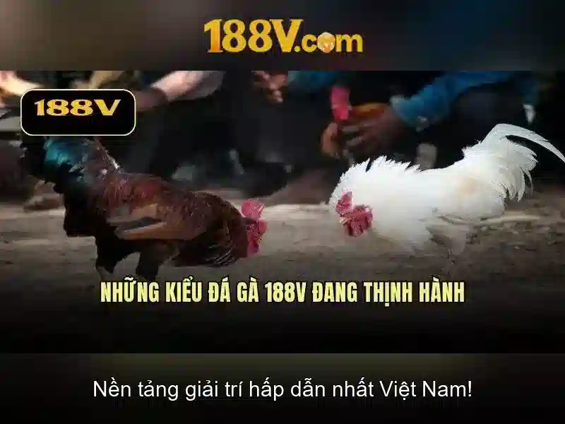 188v: một đường đi của công nghệ và văn hóa