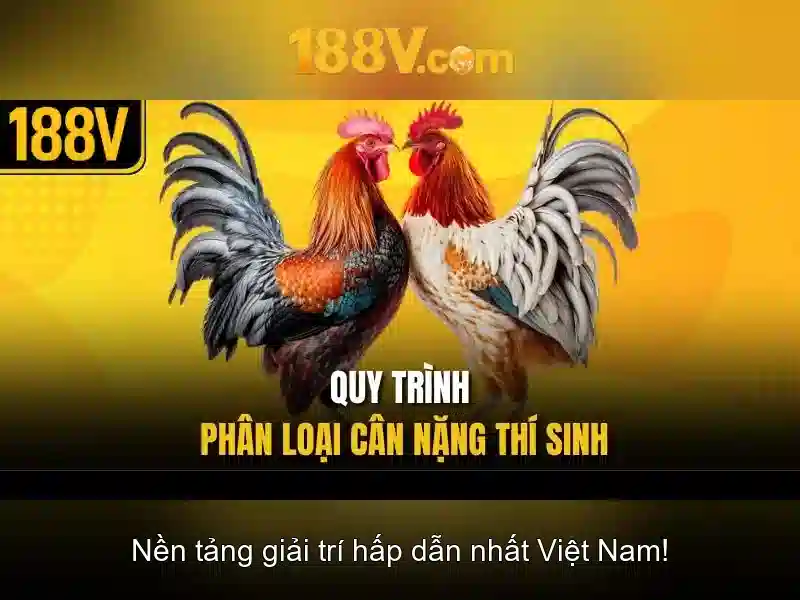 Nguồn gốc của 188v