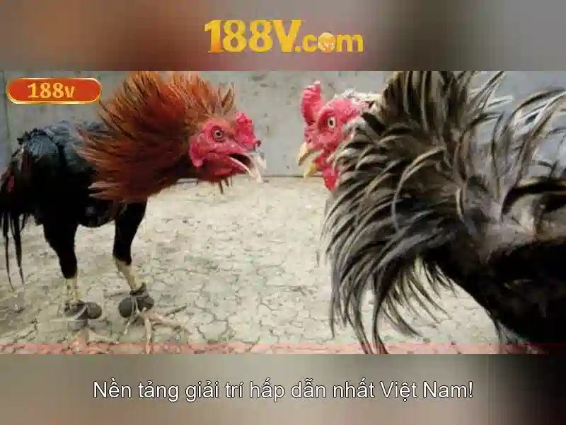 188v: khái niệm, ứng dụng và tác động