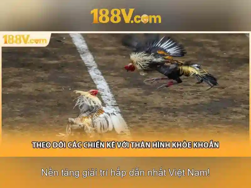 188v là gì? Khái niệm và ảnh hưởng