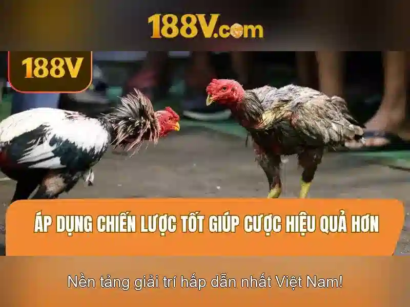 Khái niệm 188v và những ứng dụng trong thế giới số