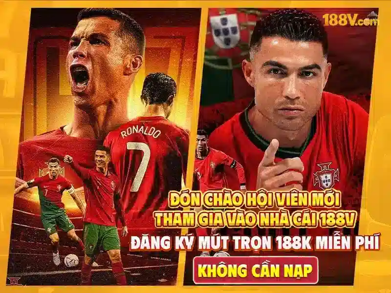 Kiến trúc và hệ sinh thái của 188V