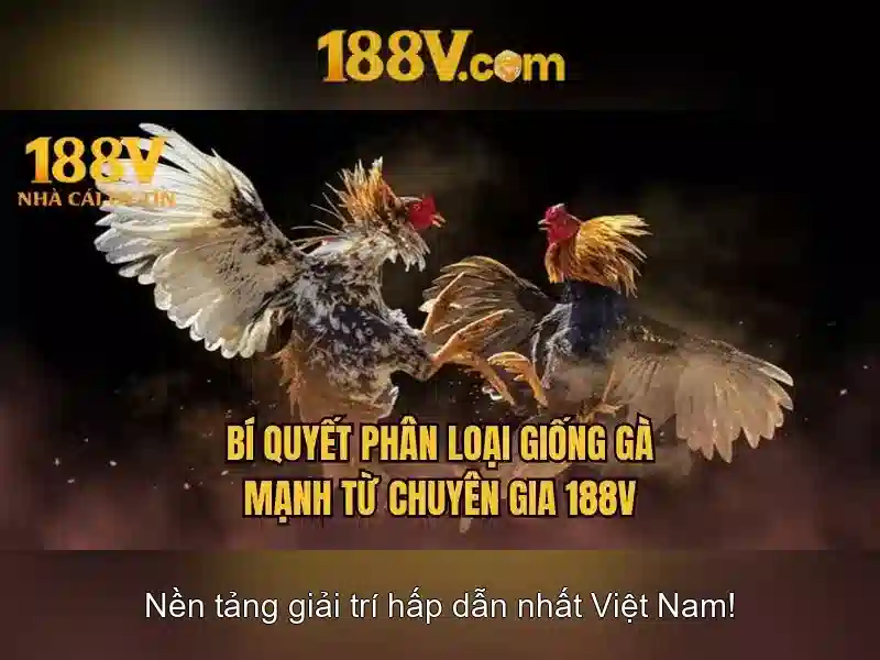 Ứng dụng và tác động của 188v