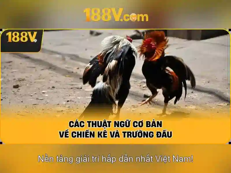 Khởi đầu của 188v