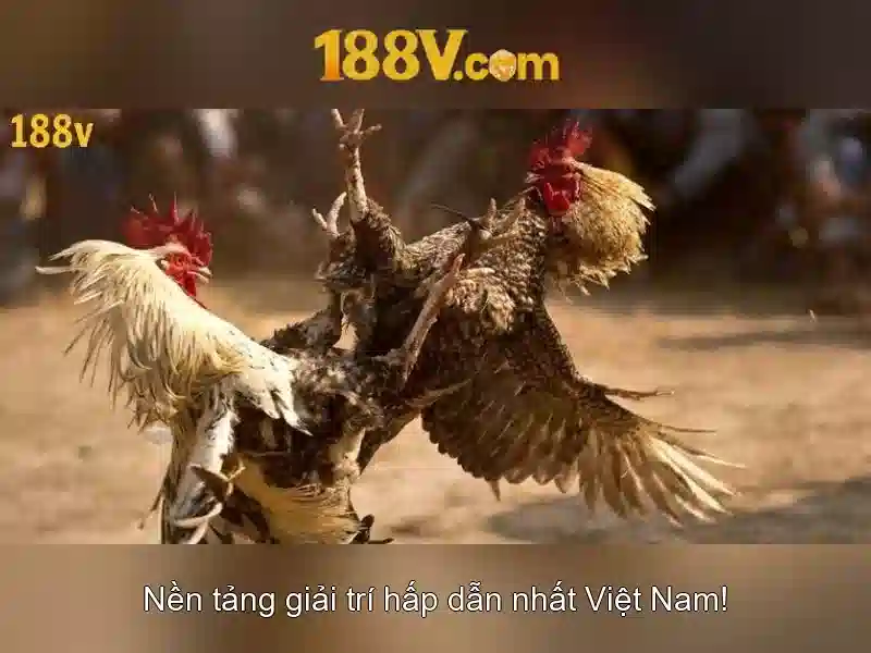 188v: một khái niệm nghệ thuật và công nghệ