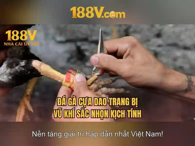 Các sản phẩm và dịch vụ cốt lõi của code 188v