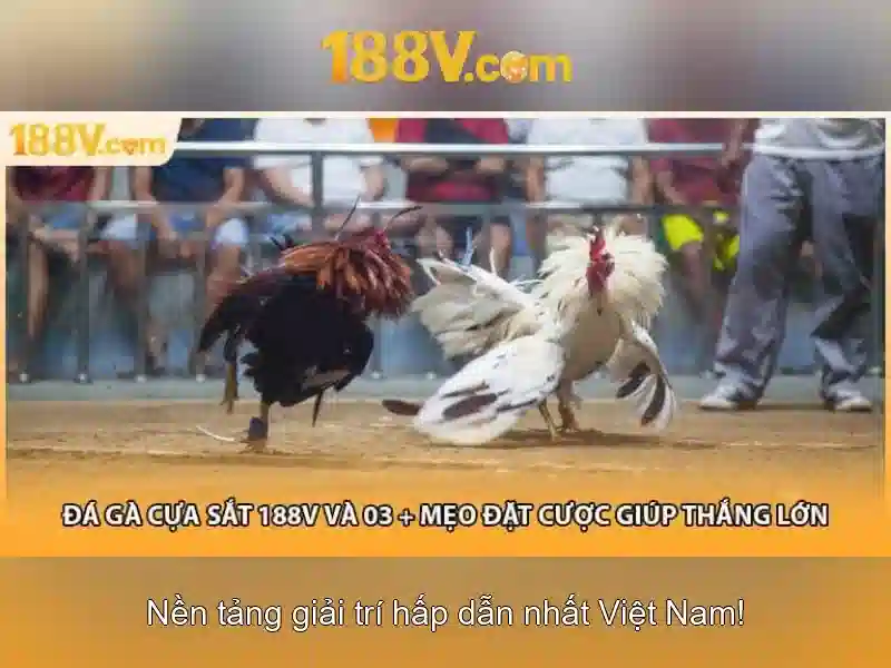 Một cái nhìn về 188v trong công nghệ