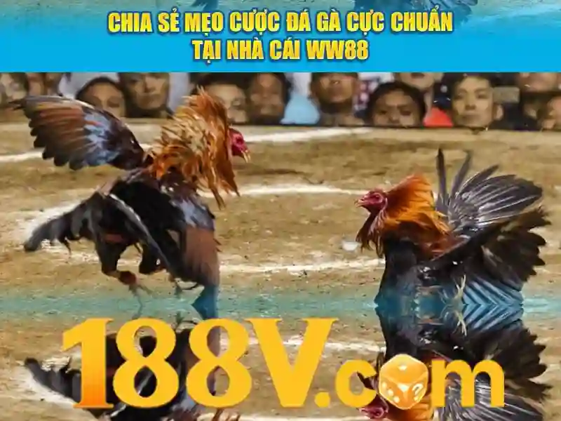 188v apk: Trải nghiệm giải trí đỉnh cao trên điện thoại