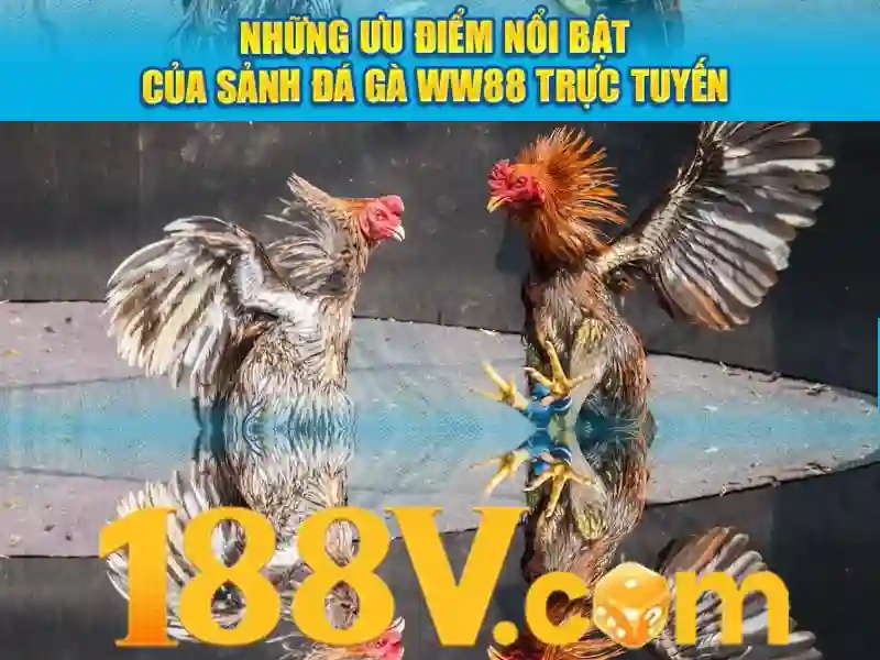 188v app – Nền tảng số đột phá cho trải nghiệm người dùng