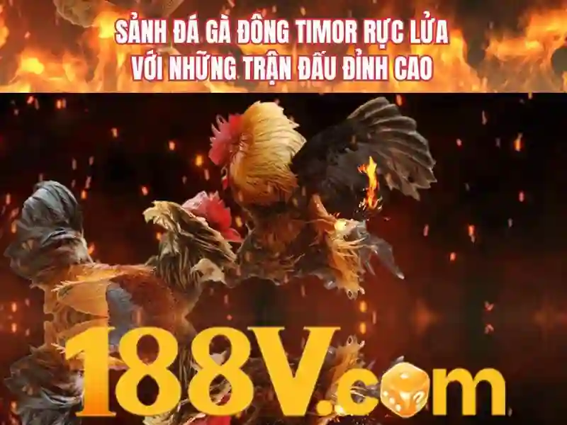 188v bet – Giới thiệu tiêu đề sáng tạo